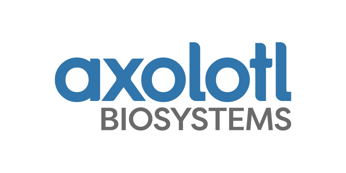 Axolotl